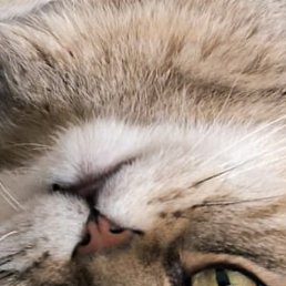 Julia, ����, 47 ���