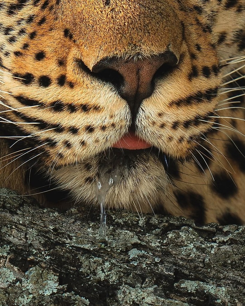     ,      - 2