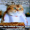 ���� ����, �����-��������� - ��������� 20 ������� 2026 � ������ ������ ��������