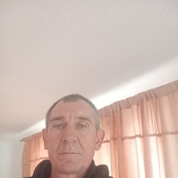 ���� �����, ���������, 48 ��� - ��������� 8 ����� 2026