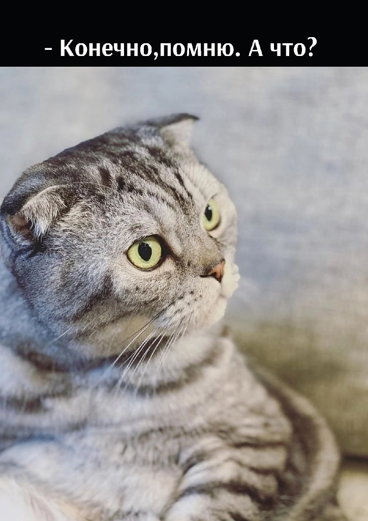       - 18  2025  22:28 - 2