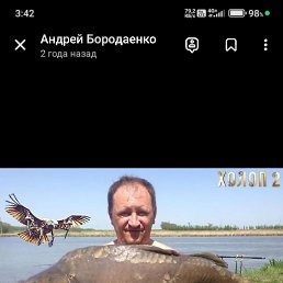 , 54 , 
