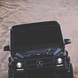 ��������, �����������, 36 ���