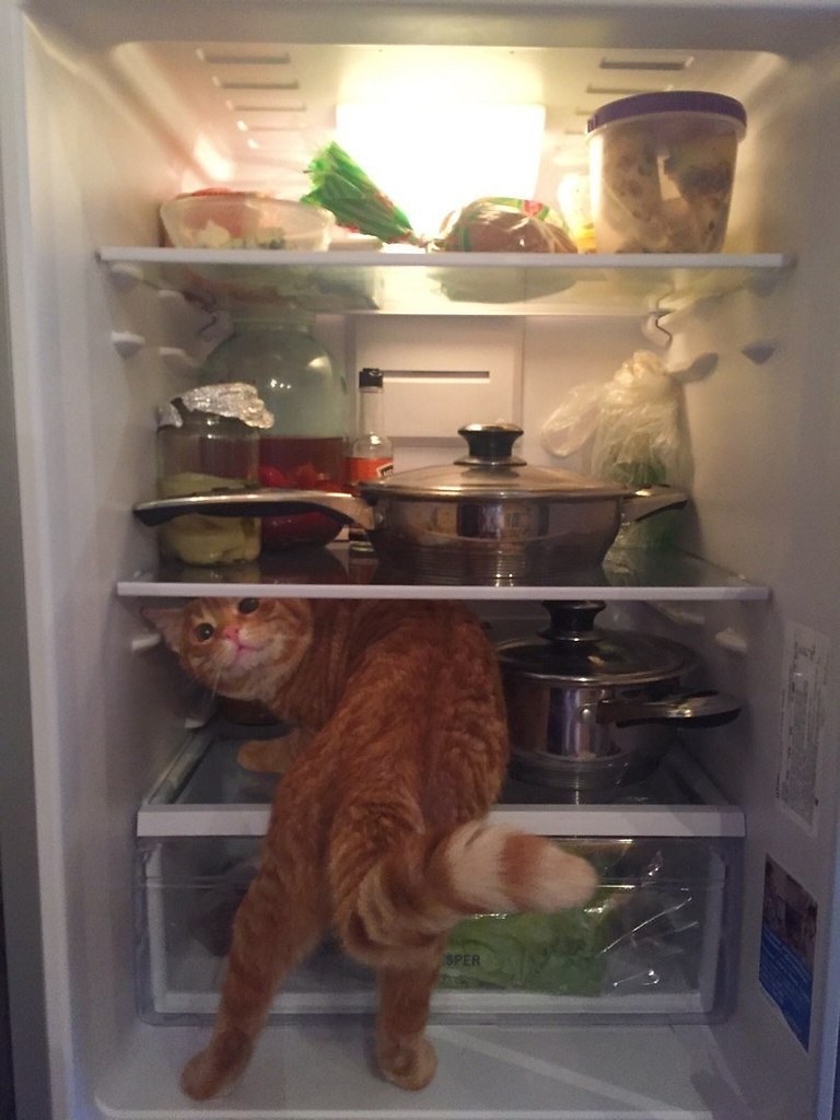  ,    ...     ..?