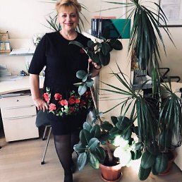 �������, ���������