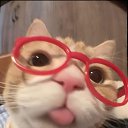 ���� ����� ����������, ������, 19 ��� - ��������� 26 ������� 2026