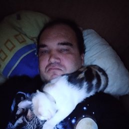 ���������, 45 ���, ������