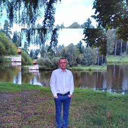 ������� �����, 49 ���, ������