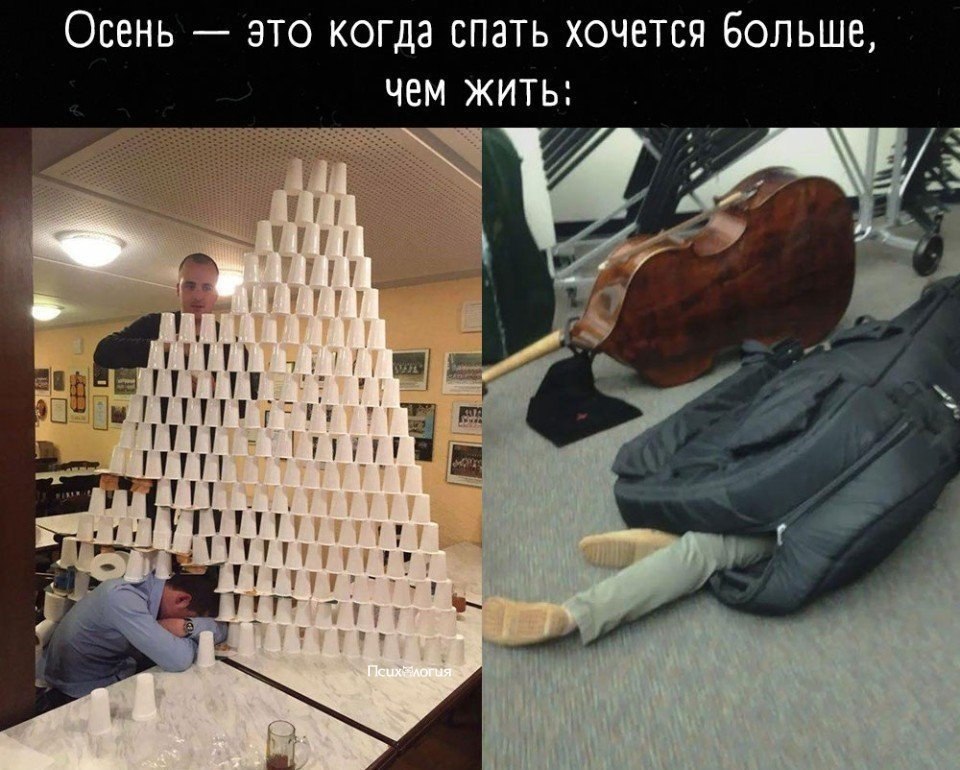      )