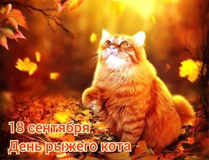 : , , , , , , , , ,  - 5