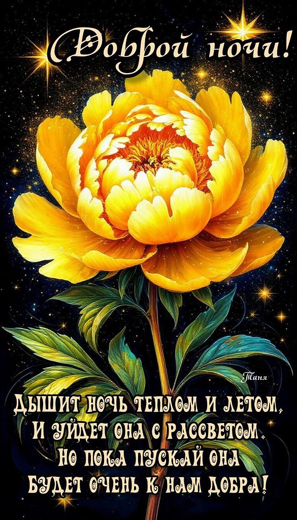   ,    . - 29  2025  21:22