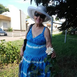 ���� ����, ����, 71 ��� - ��������� 13 ������� 2025