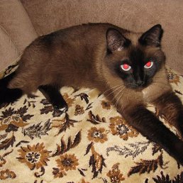 ���� ��������, �����, 65 ��� - ��������� 18 ������� 2025