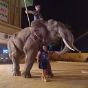 ���� �����, ��������� - ��������� 12 ������� 2025 � ������ ���� ����������