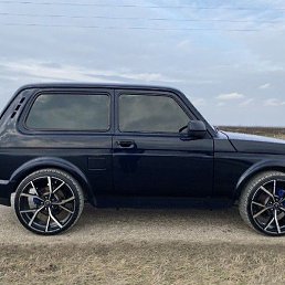 �����, �����������, 39 ���