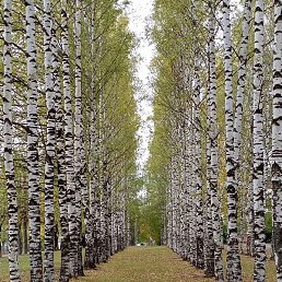 Sergey, ������, 30 ���