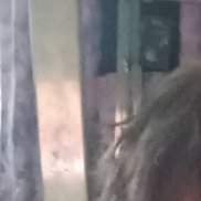 ���, 19 ���, �����