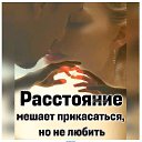 ���� �����, ��������, 66 ��� - ��������� 20 ������ 2024