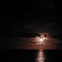 ���� ����, ��������, 68 ��� - ��������� 11 ������� 2024 � ������ ���� ����������