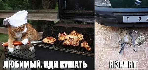   -   1 - 10  2025  00:49