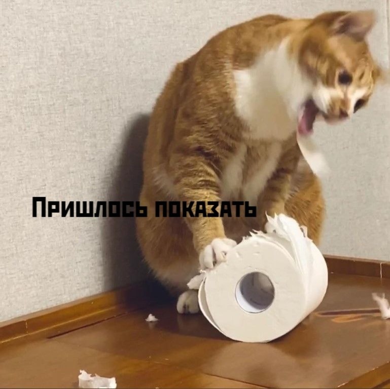 ��� ���� � ����� �� �� - 4 ������ 2026 � 16:23 - 4