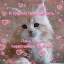  **,  -  24  2025    