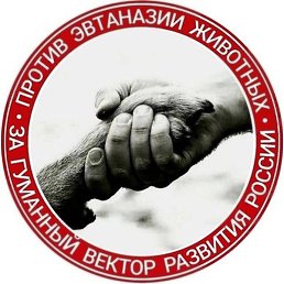 Nikolai, ������, 67 ���