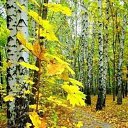  , , 53  -  10  2025   , , !!