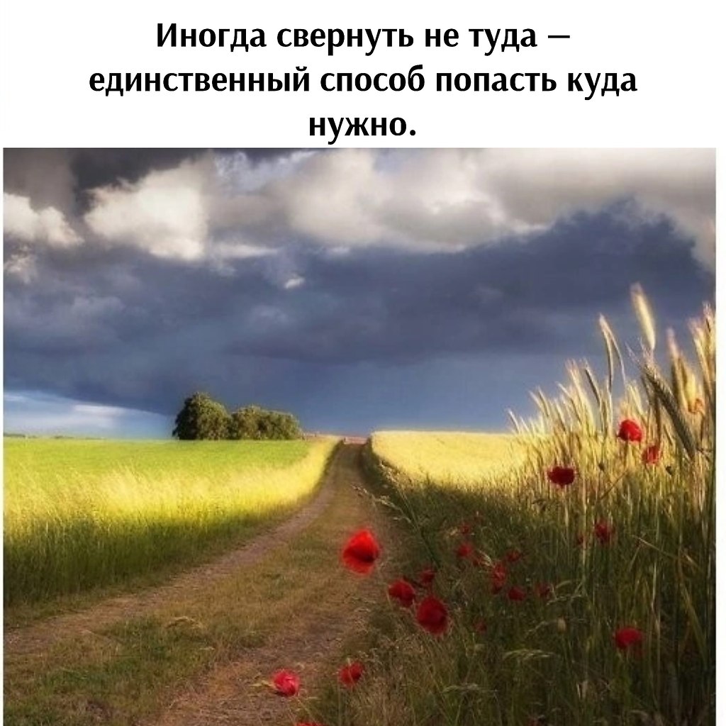   - 24  2024  23:56