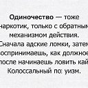 ���� ��������, ���������� - ��������� 9 ������� 2024 � ������ ������