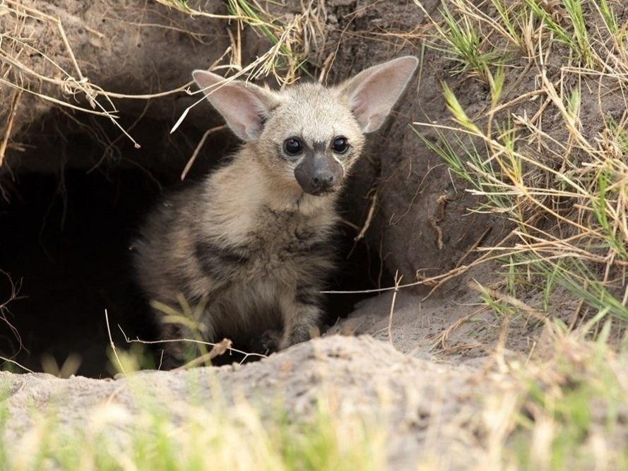 eo o pae  ceec eo. ee e opoae p o pa o. ... - 7