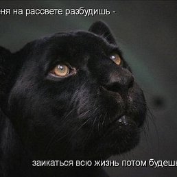  ,  -  23  2025