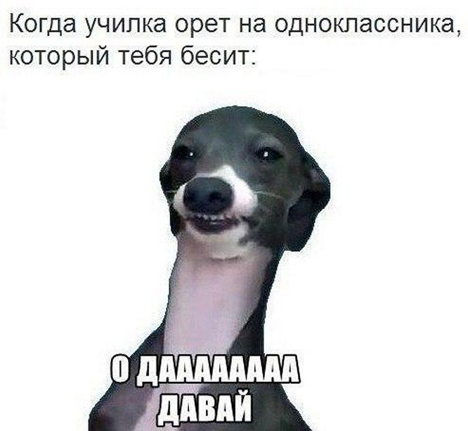 ? ,  ! - 13  2025  22:25