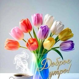 ���� �����, ����������� - ��������� 26 ������� 2026