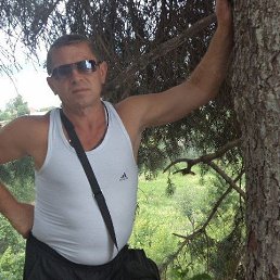 , 54, 