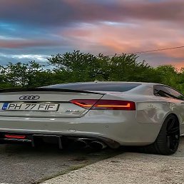 �������� ������, ������, 95 ���