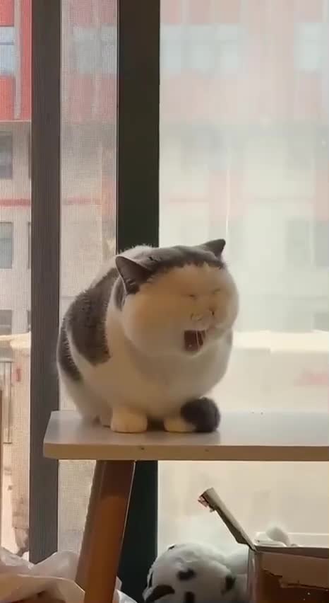 �������� ����� ��� � �����...! - 2