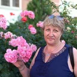 ���� �����, ����, 57 ��� - ��������� 25 ������� 2026