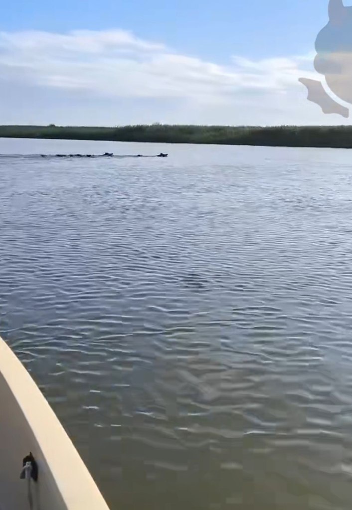 �������, ������! ������ � ��� �� �����!� � ������������ ������ �������� ����� �������������� ������ ...