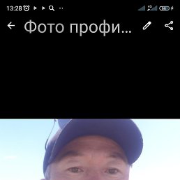 , 53, 