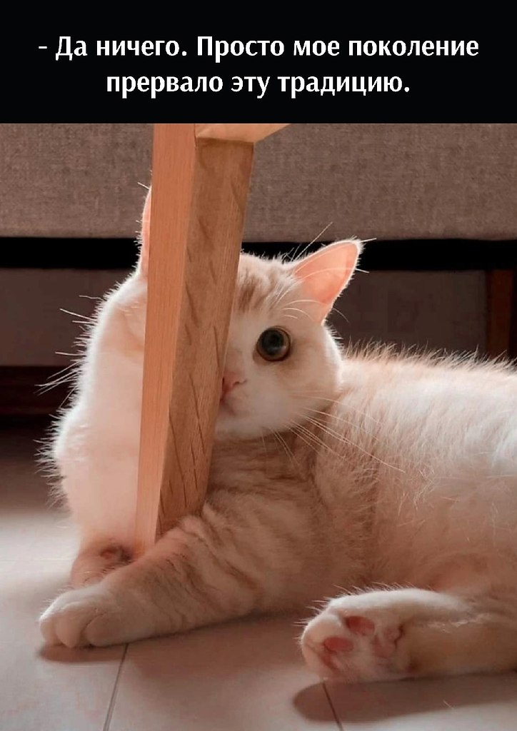       - 18  2025  22:28 - 3