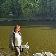 �����, , �����-���������