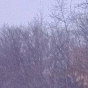 ����, 42 ����, ������