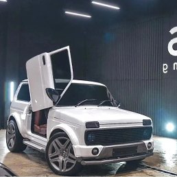 �����, ������, 37 ���