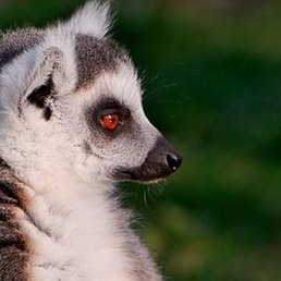 ���, ������, 59 ���