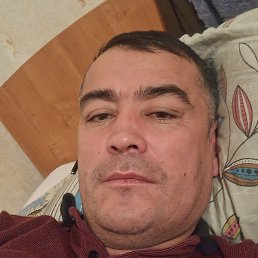 ����, �����, 42 ����