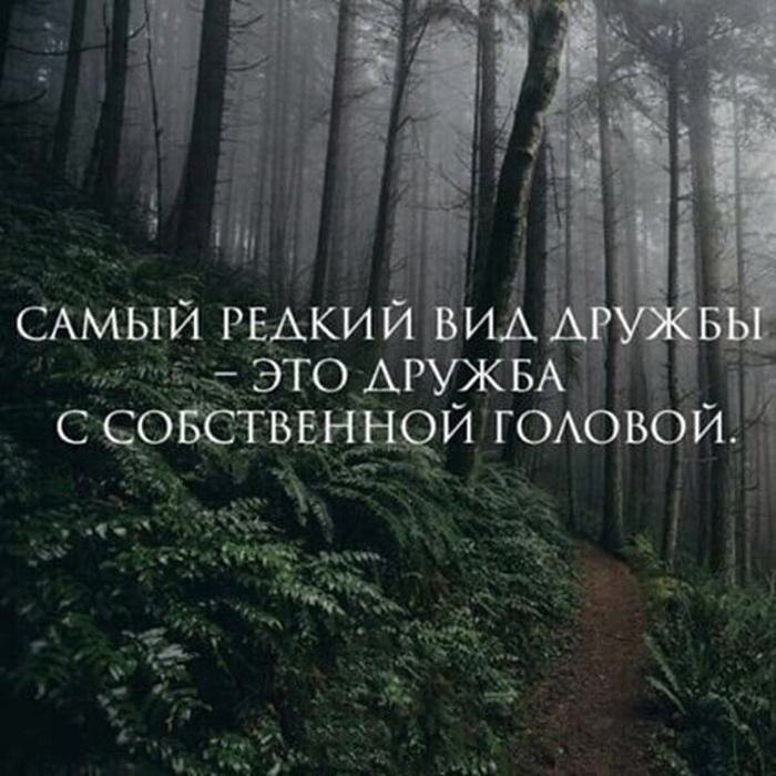      -   .