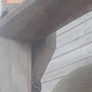 �������, 49 ���, ������