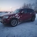 ���� �������, ������, 40 ��� - ��������� 22 ������� 2025 � ������ ���� ����������