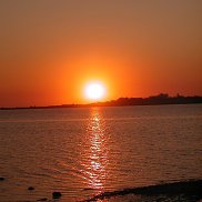 �����, 42 ����, ������������